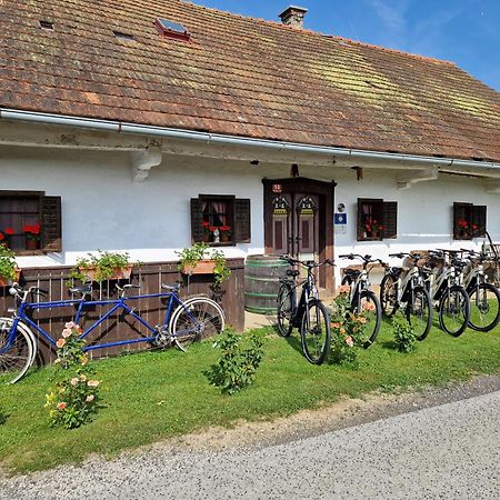 Homestay Kapl Ledinek Exterior foto
