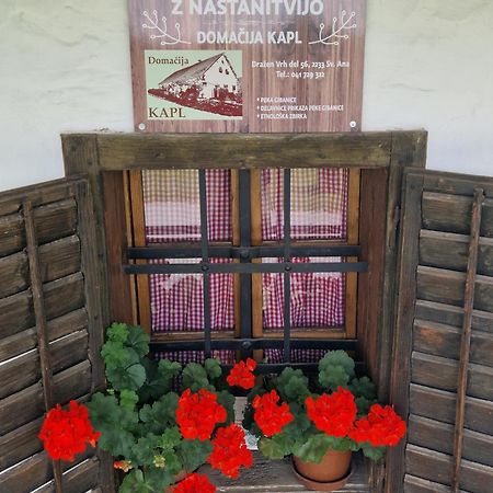 Homestay Kapl Ledinek Exterior foto