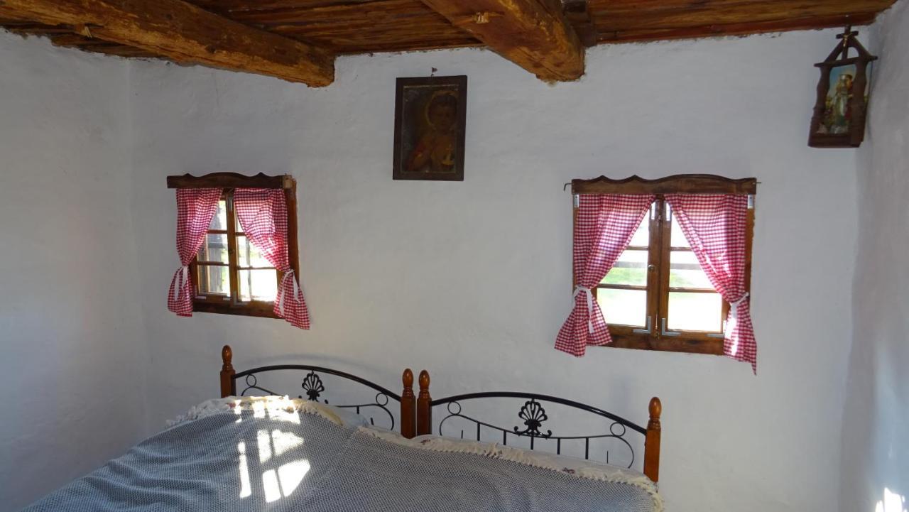 Homestay Kapl Ledinek Exterior foto
