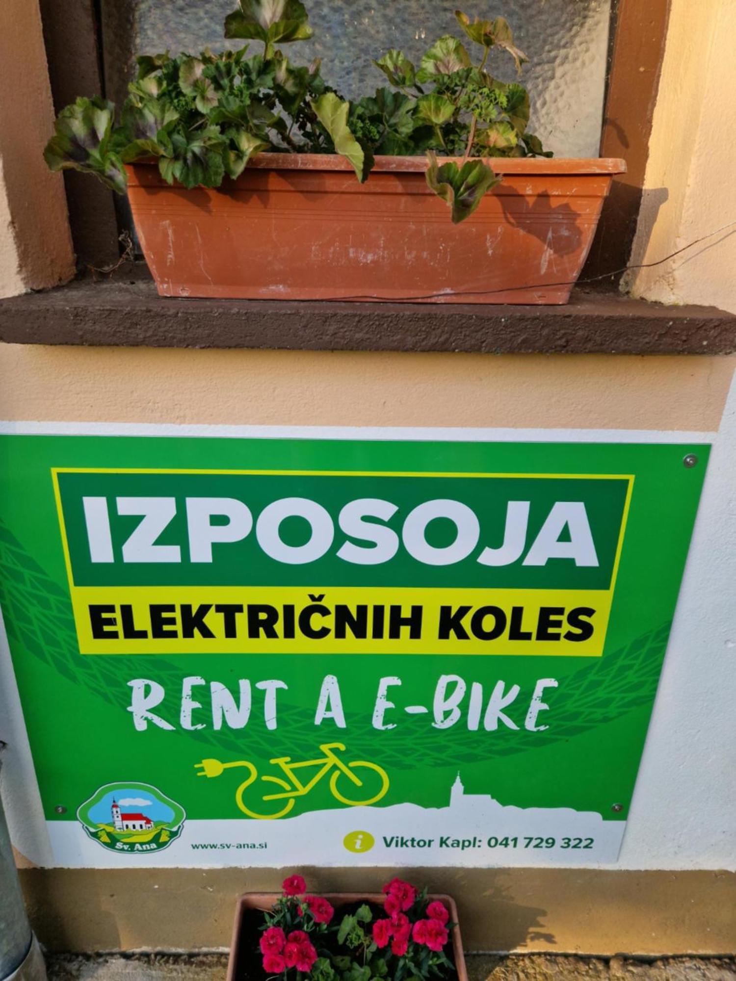 Homestay Kapl Ledinek Exterior foto