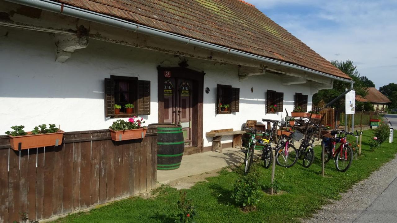 Homestay Kapl Ledinek Exterior foto