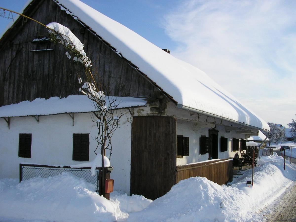 Homestay Kapl Ledinek Exterior foto